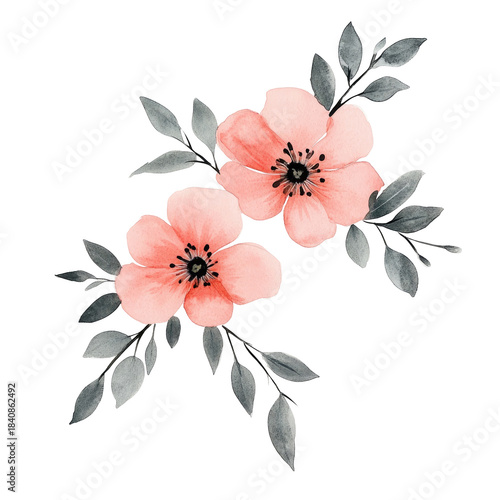Watercolor style flower duo with grey-toned leaves