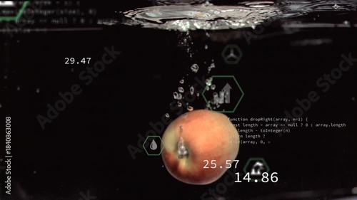 Peach fruit entering water, piercing surface, sinking as bubbles rising and icons updating metrics