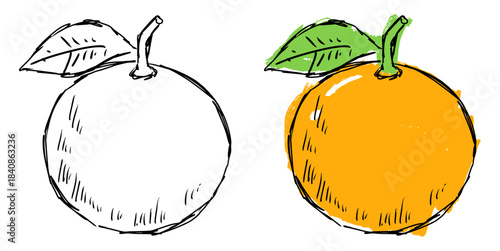 Grunge sketch handdrawn orange vector for edgy beverage branding and creative menu art. Symbolizes vibrant flavor, raw citrus, and rough, spontaneous design.