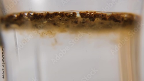Instant coffee particles falling into glass of hot water, macro view of dissolving process, energy and morning drink concept