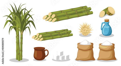 Collection of sugarcane plants, cut stalks, raw and processed sugar in various forms, and other related items, illustrating sugar production.