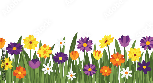 A cheerful and colorful border of various blooming spring and summer flowers and green grass against a clean white background.