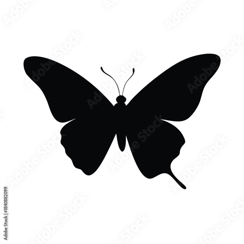 A black silhouette of a butterfly is shown against a white background.