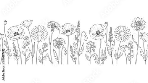 Wildflower Meadow Horizontal Border Fine Line Art Vector with Copy Space
