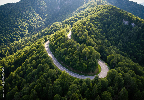 aerial view of a road in the middle of the forest
