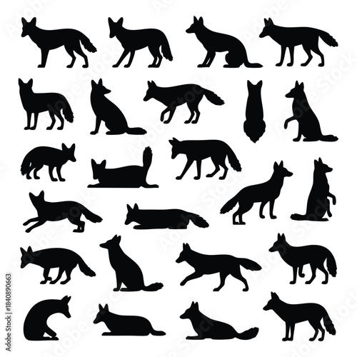 Fox/Coyote Silhouette Collection, Set of Fox/Coyote Poses, Wild Canine Silhouette Collection, Running, Sitting, and Lying Fox Graphic, Vulpine Poses Vector Set, silhouette, vector, illustration