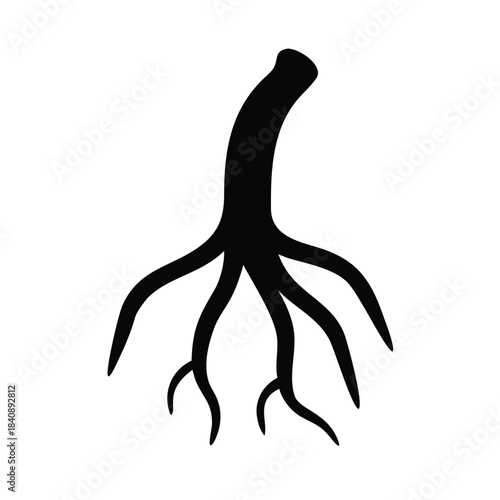 A black silhouette of plant roots against a white background.