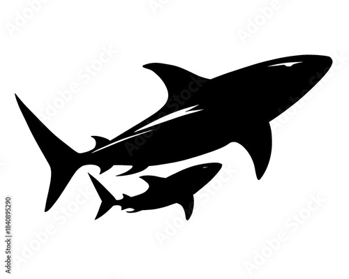 silhouette of a shark and its baby, vector illustration 
