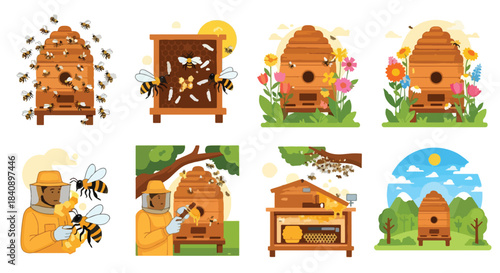 Beekeeping process with beehives and beekeeper