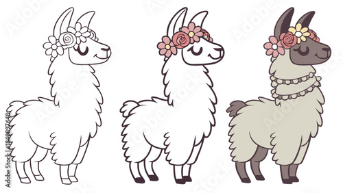 Adorable Llama with Floral Crown and Pearl Necklace Vector Illustration Set, Showing Coloring Progression from Outline to Full Color