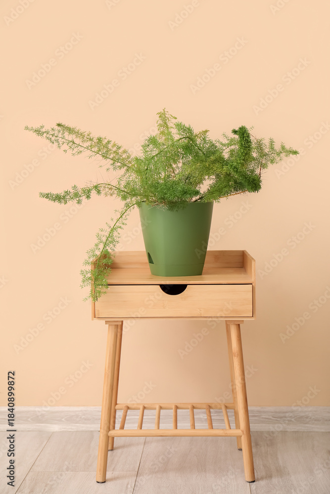 Fototapeta premium Table and houseplant near beige wall