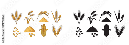Grains and crops collection with transparent background