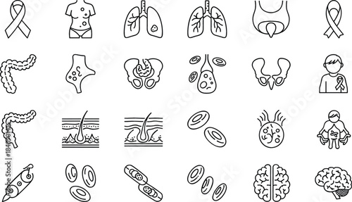 Comprehensive vector line icon set of 24 distinct Cancer Types, illustrating various affected organs, diseases, and global medical awareness symbols.