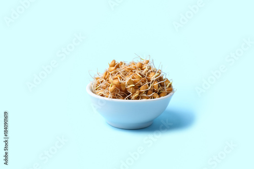Bowl with sprouted wheat on...