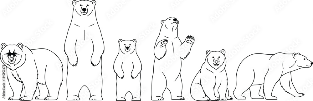Fototapeta premium Set of standing and walking bear silhouettes in different poses, minimal black and white line art wildlife illustration vector collection