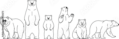 Set of standing and walking bear silhouettes in different poses, minimal black and white line art wildlife illustration vector collection