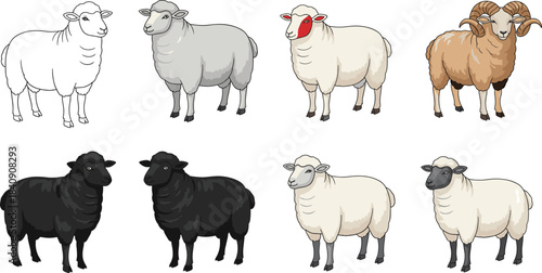 Colorful sheep and ram cartoon illustration set showing different breeds and wool colors, friendly farm animal vector collection for agriculture designs