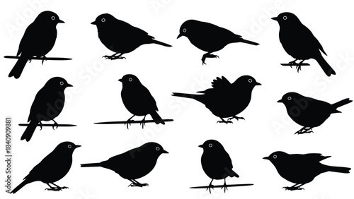 A comprehensive collection of black silhouette illustrations depicting small songbirds in various poses