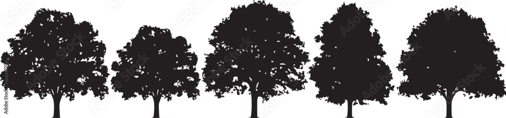 Obraz premium Silhouetted Trees in a Row: A captivating silhouette of five trees stands in a row, their intricate foliage displayed against the sky, symbolizing growth, strength, and nature's enduring presence.