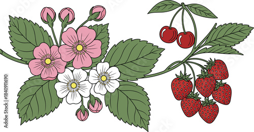 Collection of fresh red and green berries with leaves in a simple vector style