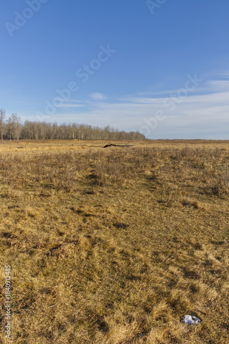 A Sunny Autumn Day At Elk Island