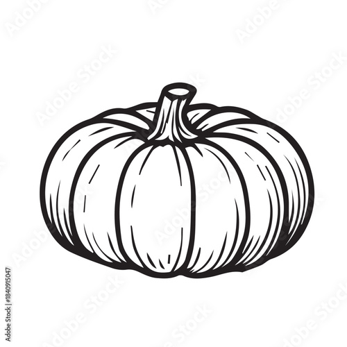A vector illustration of a plump pumpkin with smooth curved lines and warm organic contours, designed to highlight its natural shape, seasonal charm, and the classic look of a fresh autumn harvest.