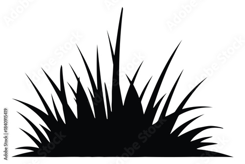 Black silhouette of a clump of grass with sharp pointed blades white