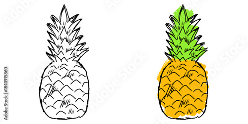 Grunge sketch handdrawn pineapple vector for tropical poster art and raw fruit concepts. Symbolizes exotic summer vibes and rough artistic textures.