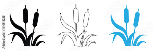 Set of cattail icons and silhouettes Reed vector icon, cane symbol. Simple, flat design for web or mobile app,Cattail Plant icon. Silhouette of cattails and reeds. Cattail wetland plant in solid icon.
