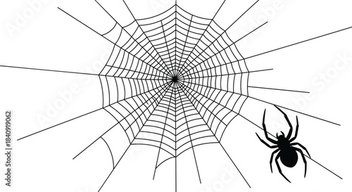 Black Silhouette Spider on Ornate Radial Geometric Cobweb Isolated Vector Illustration for Halloween Design, Insect Phobia, Nature, Fear, and Spooky Season Decorations