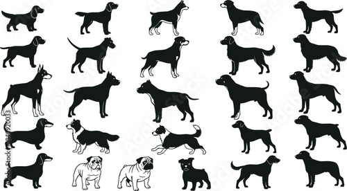 Collection of diverse dog breed silhouettes and outline illustrations, featuring various standing poses, detailed shapes, and pet animal design elements for vector artwork, icons, and graphics