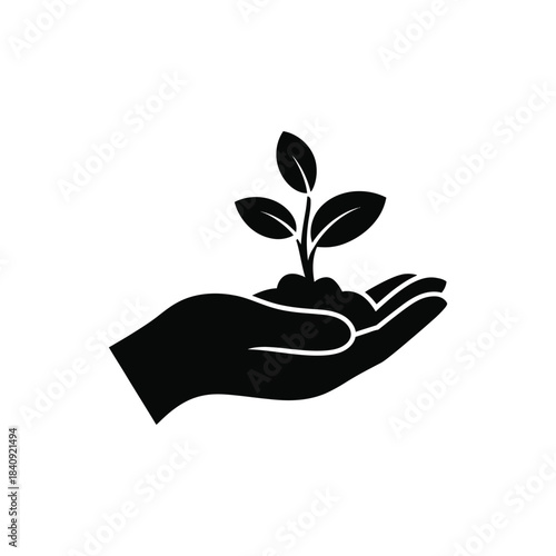 Human hand carefully nurturing small seedling plant growing in soil symbol of environmental protection ecology and sustainable development.