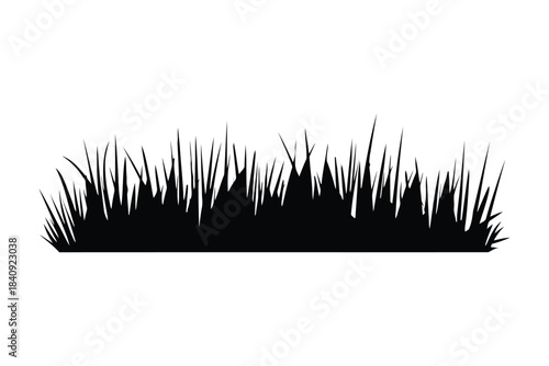 Black silhouette of a horizontal line of grass blades on a white background vector