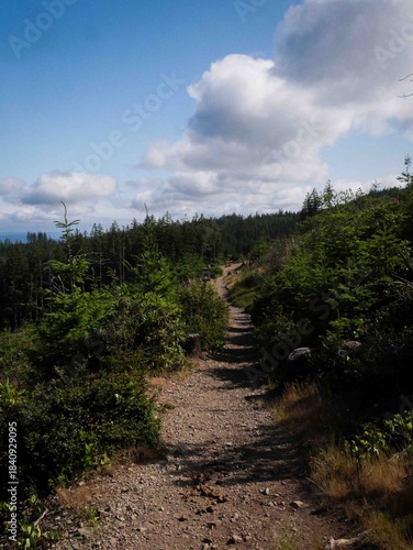 ATV trail in Green Mountain State Forest in western Washington 