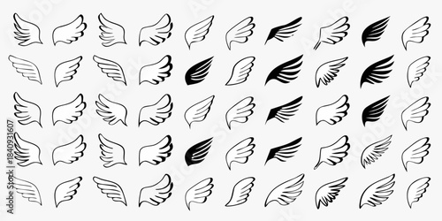 A collection of various black and white wing designs arranged on a white background