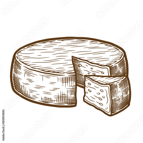 Delicious vintage sketch illustration of round cheese with a slice removed for culinary design