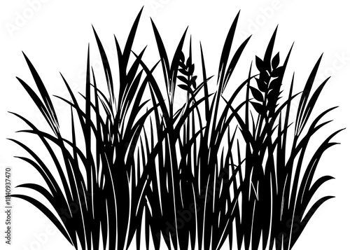 Rice plant silhouette illustration