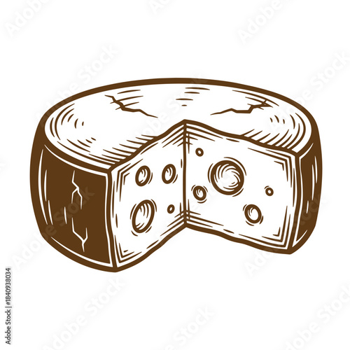 Hand drawn sketch style illustration of a delicious cheese wheel with a piece cut out