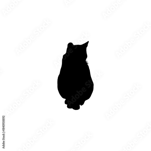 silhouette of a cat