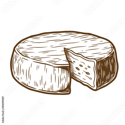 Vintage sketch of wheel of soft cheese with a cut piece isolated on white