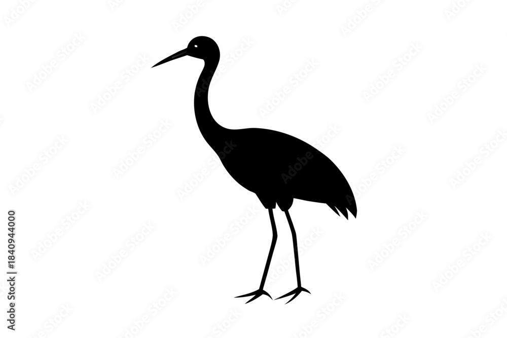 Fototapeta premium Ibis bird silhouette vector, ibis bird animal black symbol 