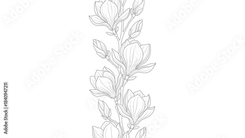 Elegant vertical magnolia flower border line art design