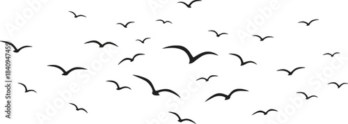 Flock of Flying Silhouettes, A Dynamic Group of Seagulls or Birds in Flight, Abstract Symbol of Freedom, Travel, and Nature, Isolated on White Background for Design