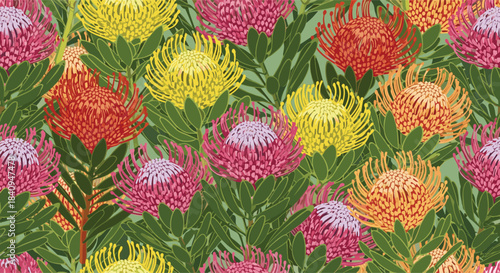 Colorful protea flowers in a lush green garden pattern with vibrant pincushion blossoms and dense foliage creating a vivid tropical floral tapestry.
