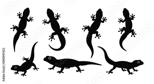 Black silhouettes of lizards in various poses and orientations are displayed