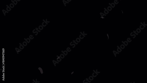 桜の花が弾け、七宝文様や麻の葉文様が描かれた円が広がる和モダンな背景/朱色・透過背景