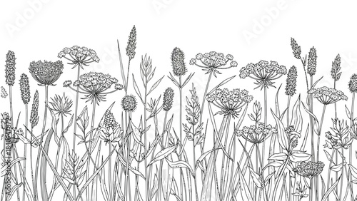 Detailed black and white line art of wild meadow flowers and grasses