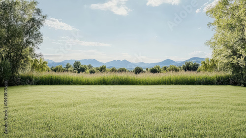Fototapeta Naklejka Na Ścianę i Meble -  Green meadow with distant mountain range and trees, tranquil summer landscape