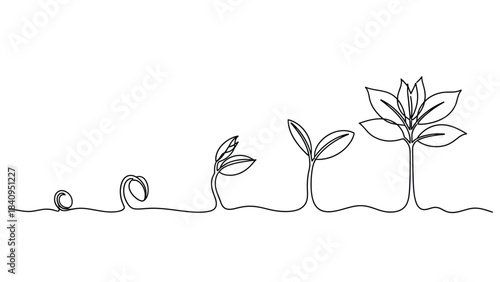 Continuous line drawing showing plant growth stages from seed to maturity