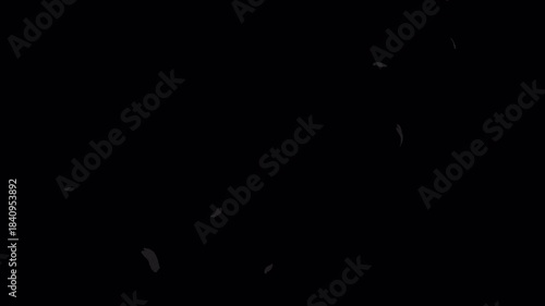 桜の花が弾け、七宝文様や麻の葉文様が描かれた円が広がる和モダンな背景/漆黒・透過背景